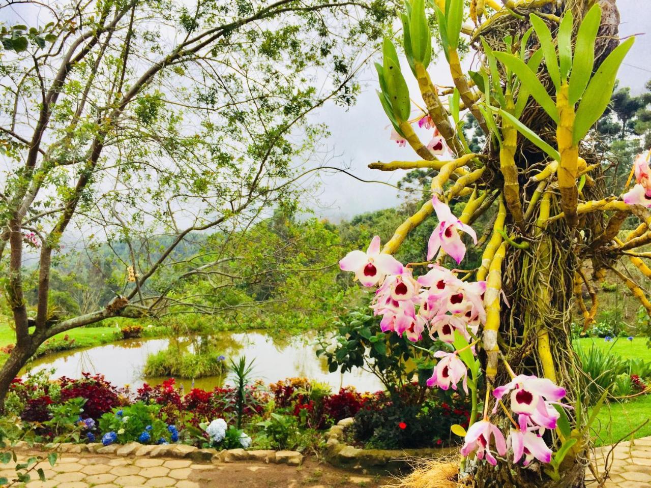 Casa Do Lago Caparao Pedra Menina Eksteriør billede